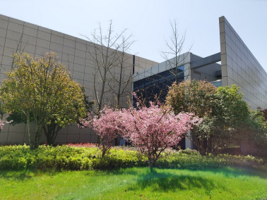 1718672427763-55df844b-f21e-4ae4-a42a-4154aa74dbb5