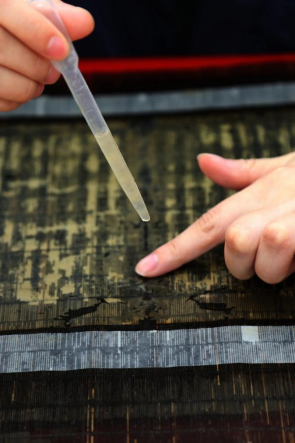 1718673317446-41647be4-bd9c-461c-9821-c1ae3ffc3e62