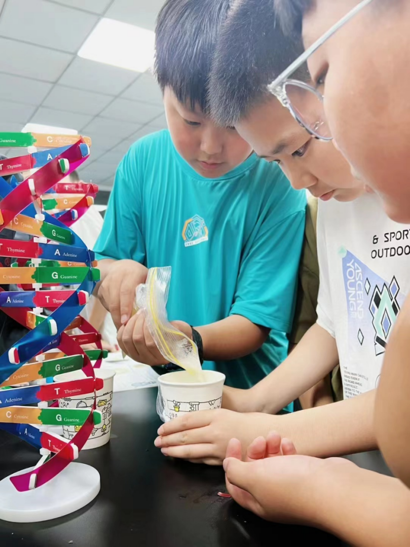 1718673936768-0290863a-8471-4bd2-aa14-6159f00ce0f0