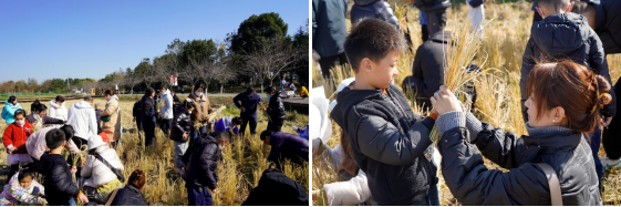 59fc88fbfc76fd4f584edb30f8d7559f6f05a2e6