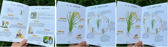 98f36fca9539f2088c4b45279559450f2061febc