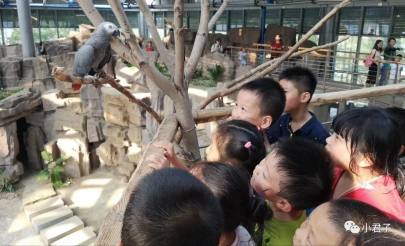 9a560bd45715fda3b10a2001f5cfbd51a23c5f28