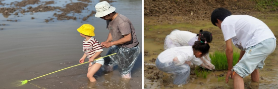 9b8bb89507c88ab8e5ab148a18c8f604892e9374