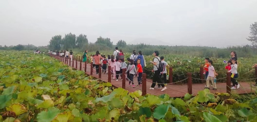 d1500a21a3a3f85db80a4c4a46c9faccabb551b4